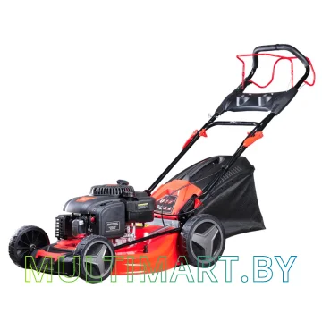 Газонокосилка Fubag FPL 56 SM (46295)
